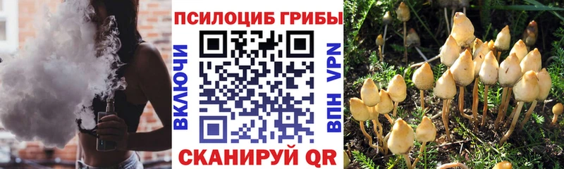 Псилоцибиновые грибы GOLDEN TEACHER  Волхов 