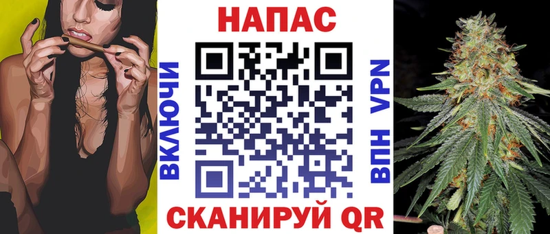 Каннабис сатива Волхов